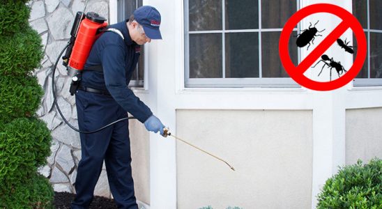 Hocalar Karınca İlaçlama böcek ilaçlama ve haşere kontrolü — ilaclama-tr.com